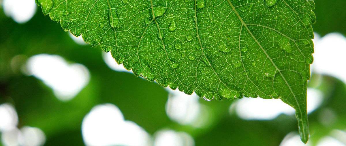 v2-8b864b87f4ed38f660608ace7cc8da12_1440w.jpg?source=172ae18b