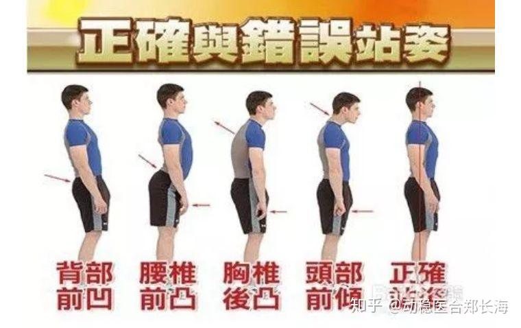 平背知多少 - 知乎