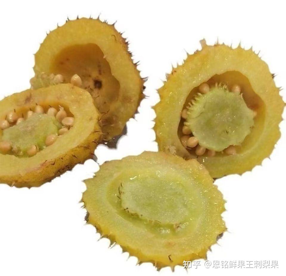维C之王——野生刺梨 - 知乎
