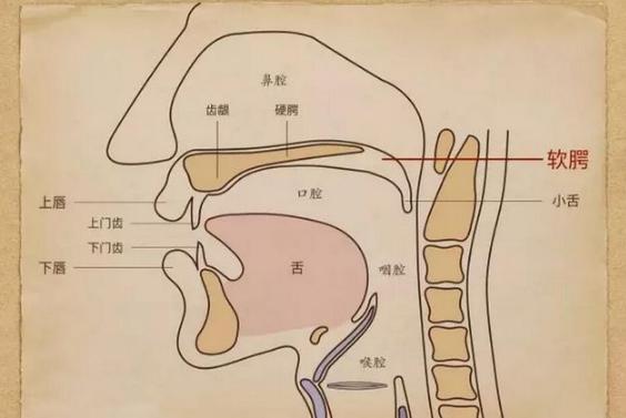 v2-8bb5b180244abf9923f71d8e37f35151_1440w.jpg?source=172ae18b