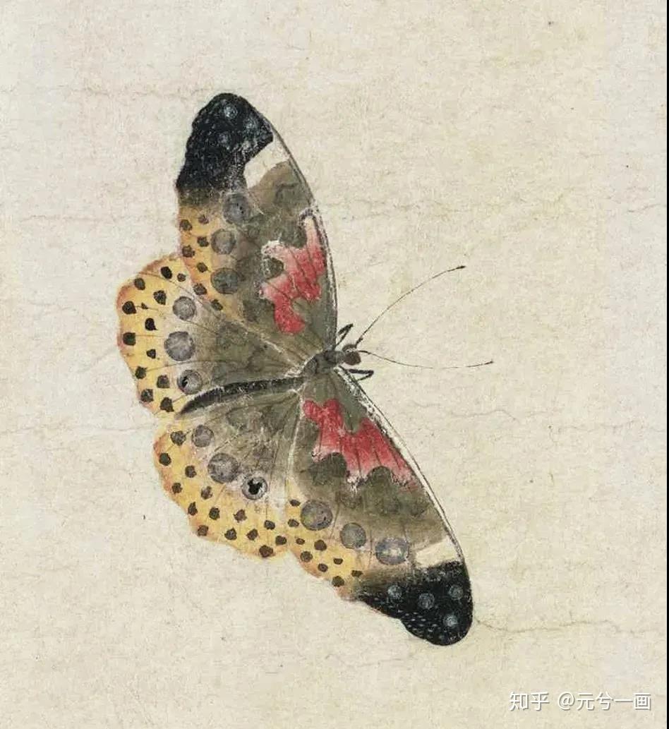 听画味象北宋赵昌写生蛱蝶图