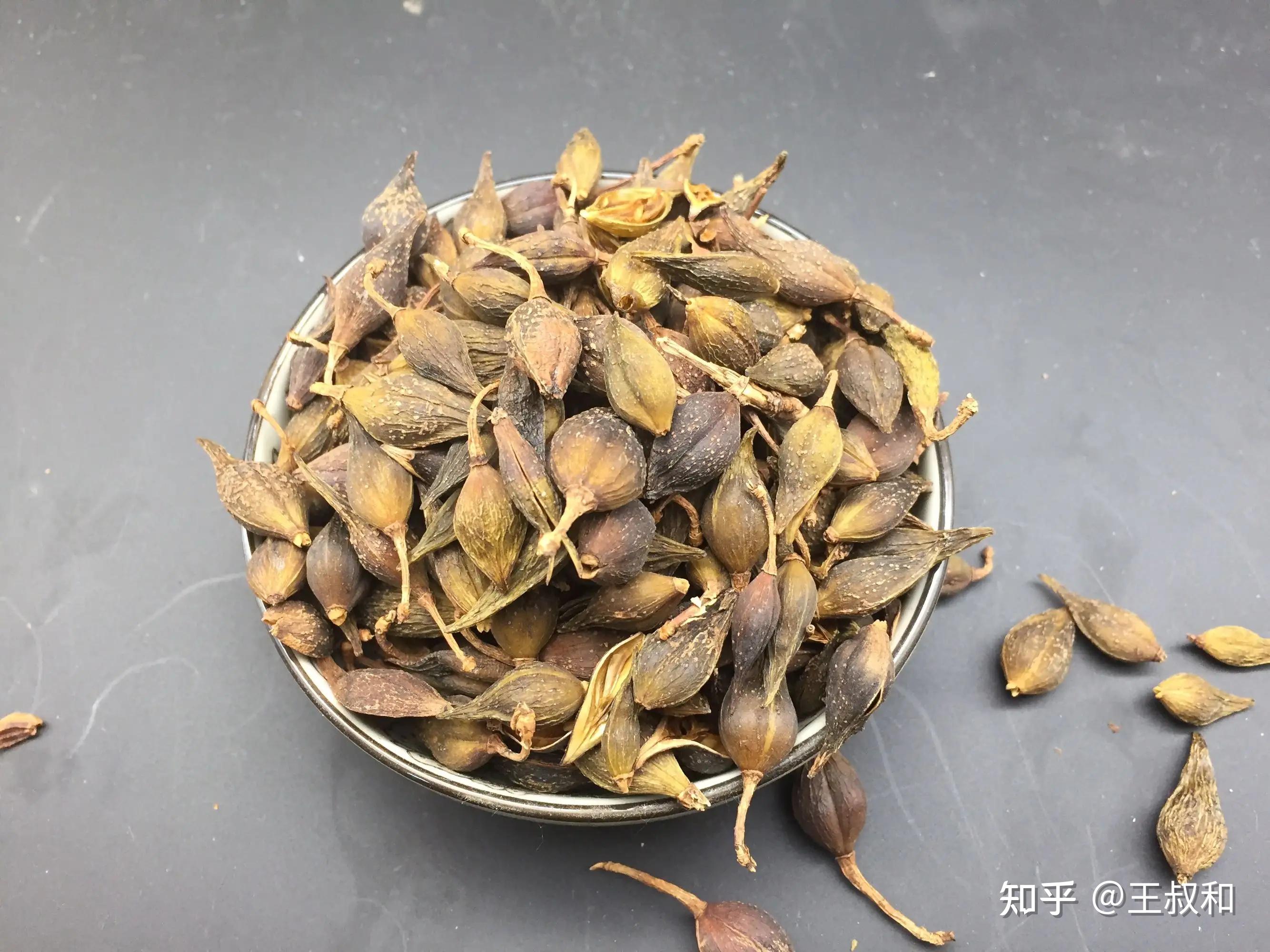 常见中药材的特性整理稿 - 知乎