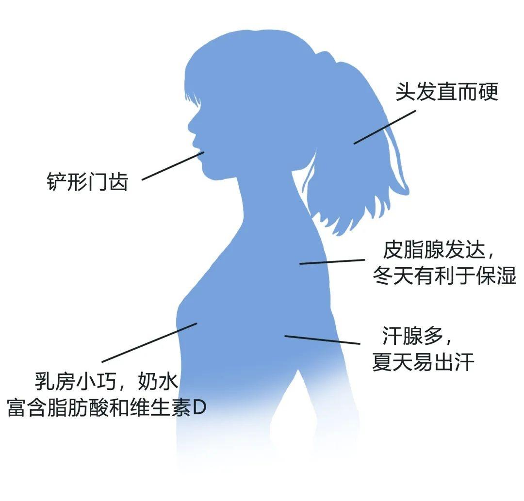 中国人的门牙像个小铲子，是为了更好吃饭吗？ - 知乎