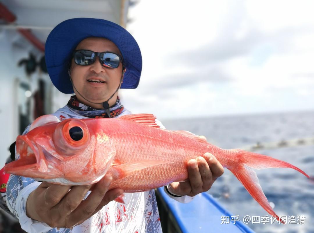 深海红尾鸟鱼价格图片