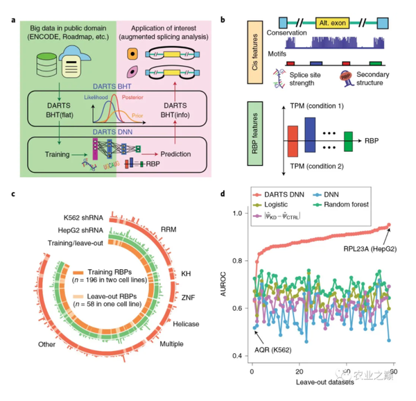 转录剪切的深度学习扩增RNA-序列分析 - 知乎