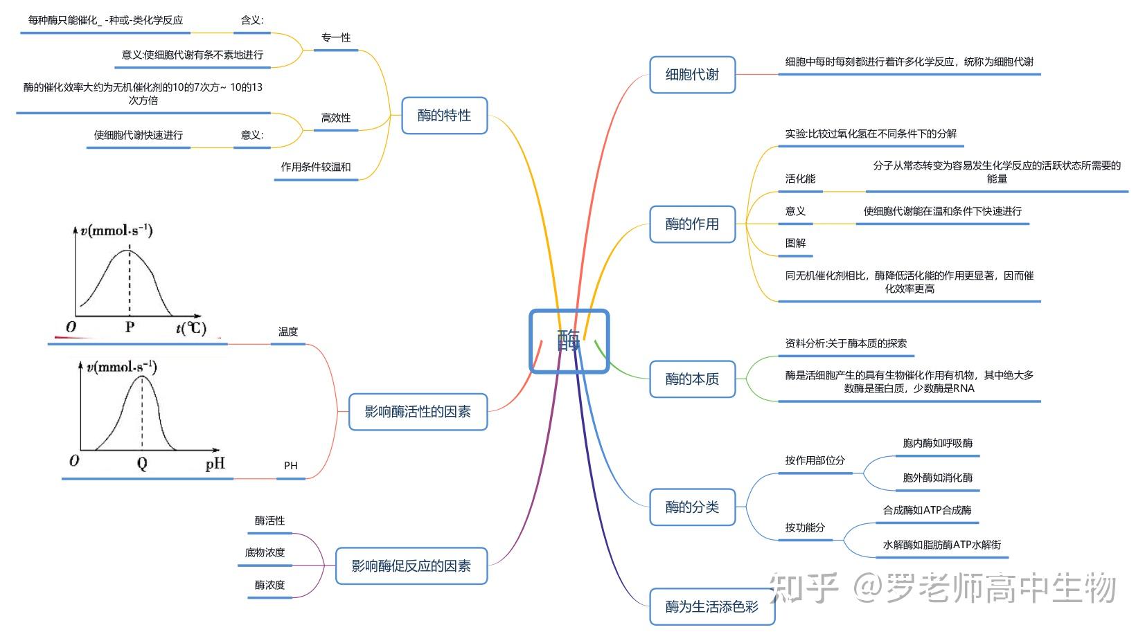 高中生物必修一思維導圖