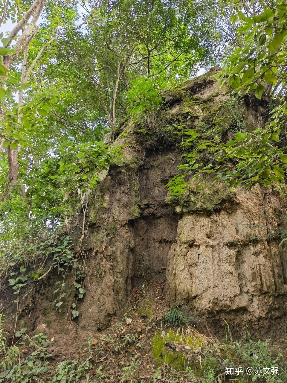 草鞋山遗址公园女铜像图片