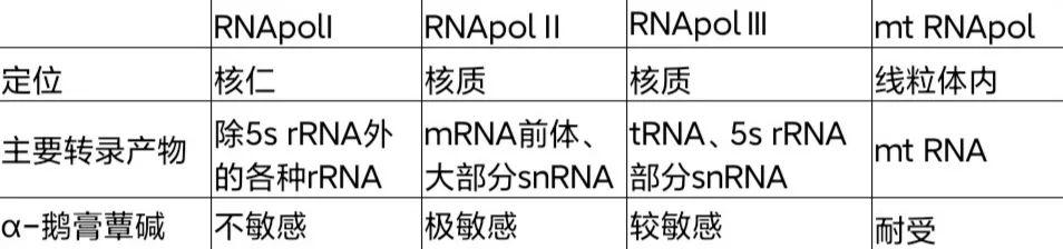 分子生物学整理|蛋白质笔记（五）三种RNA - 知乎