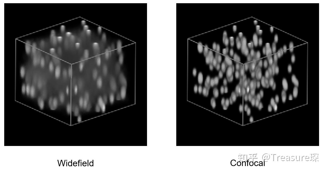 Psf From Image Python Matlab MATLAB光学模拟—— 利用PSF模拟显微镜成像 - 知乎
