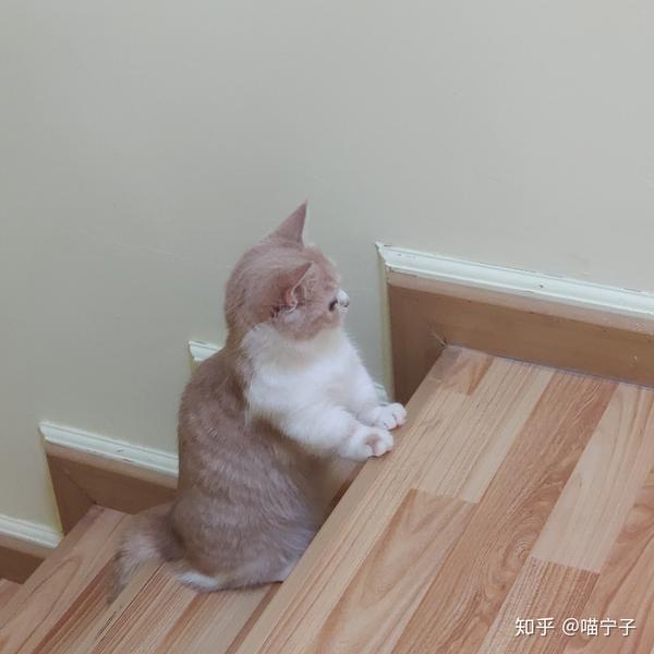           _          _         