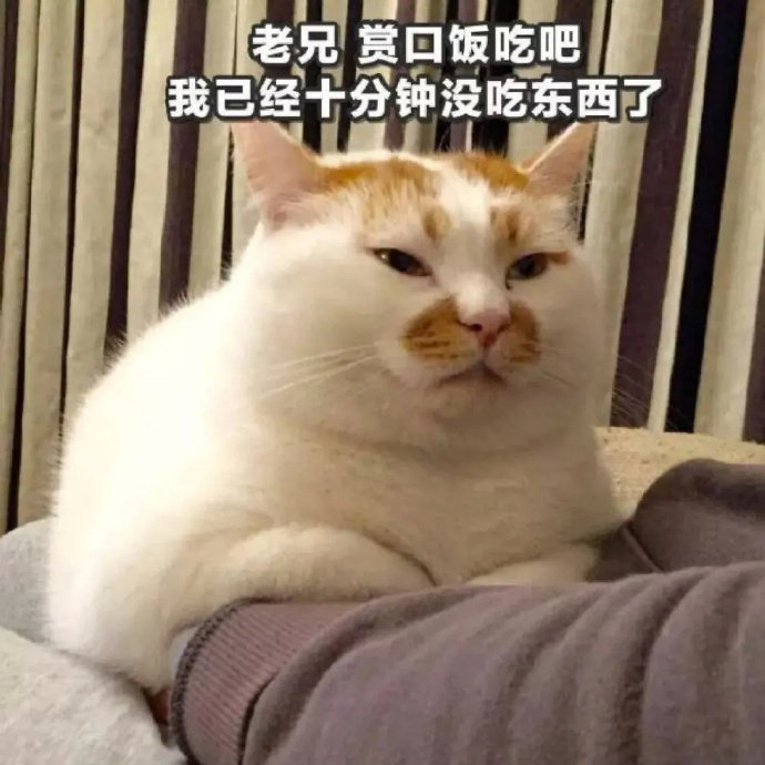 管他什么音乐文案沙雕,管他什么音乐合集