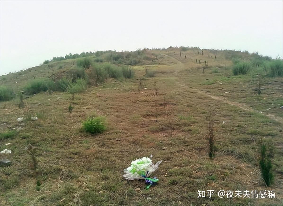 “最美死刑犯”任雪：死前主动张嘴，众人不解，行刑人员却懂了 - 知乎