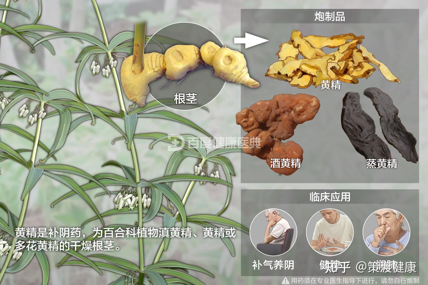黄精文献追踪:黄精的化学成及药理研究。 - 知乎