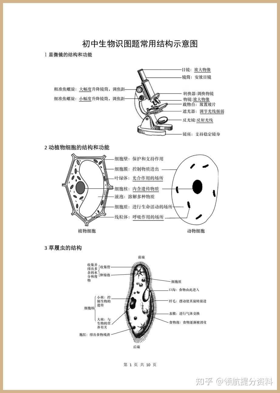 初中生物会考识图题常用结构示意图 - 知乎