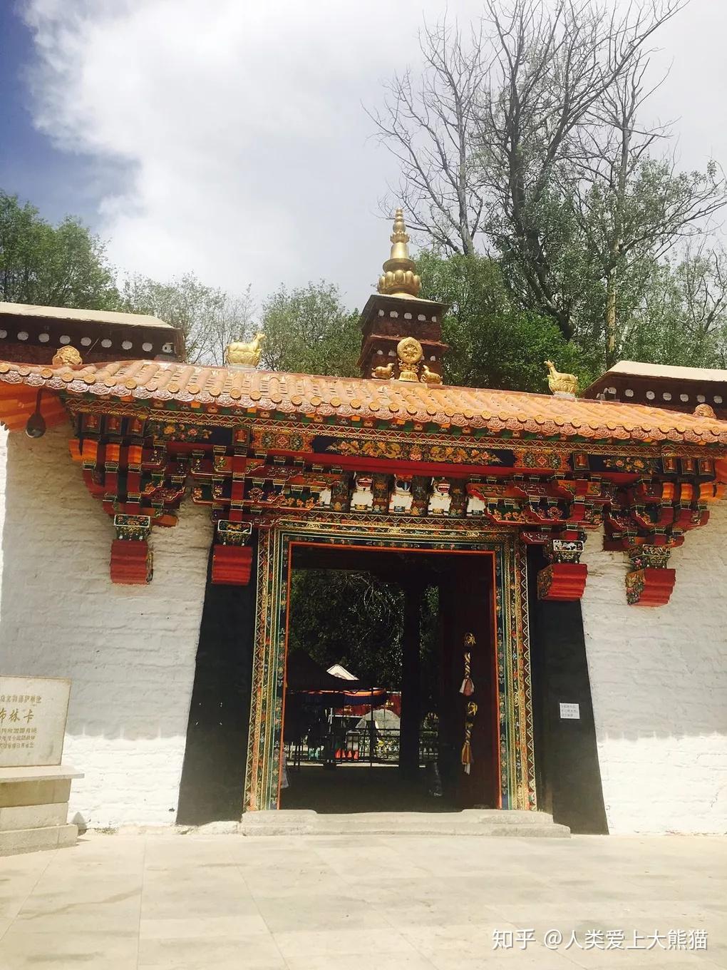 什么地方黄氏最好 v2-8c32e3cf5ca5ded641d59515db074be2_r.jpg