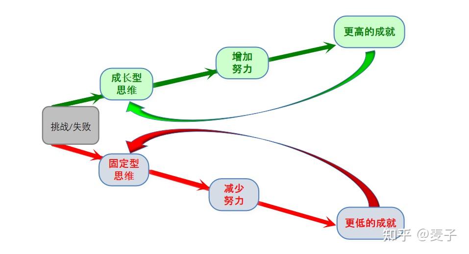 学习科学理论从短片鹬piper谈成长型思维
