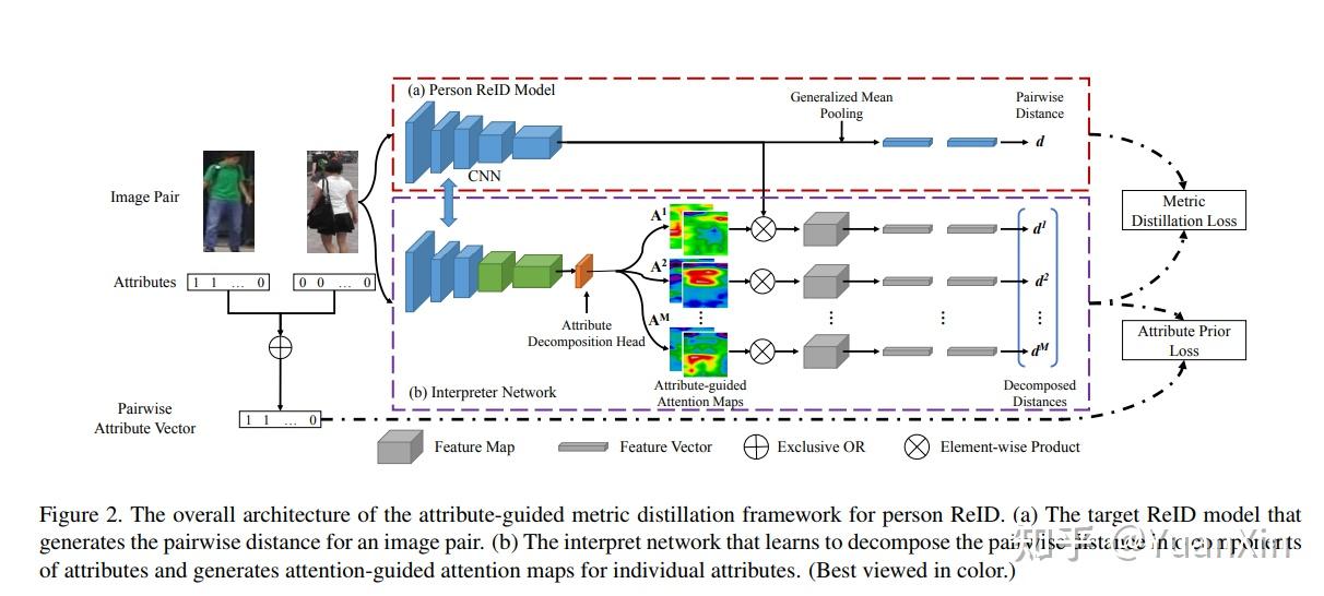 explainable person re-identification with attribute-guided