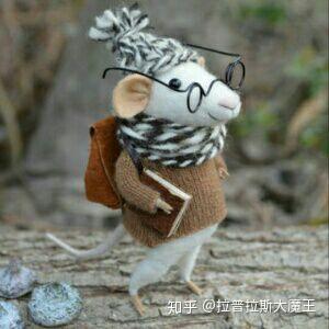 我相信宿命论,我已经感觉人生没有意义了,怎么