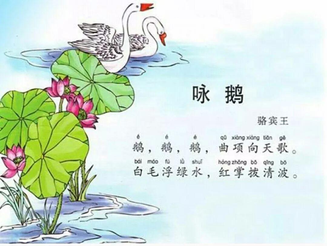 鹅鹅鹅,曲项向天歌,白毛浮绿水,红掌拨清波