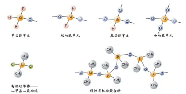 食品营养专业_营养食品专业学什么_营养食品专业是什么