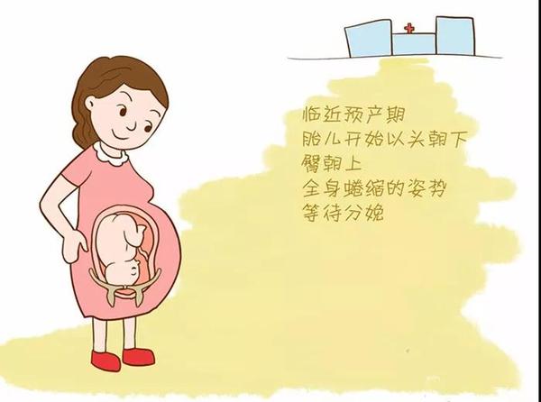你的预产期准吗 知乎