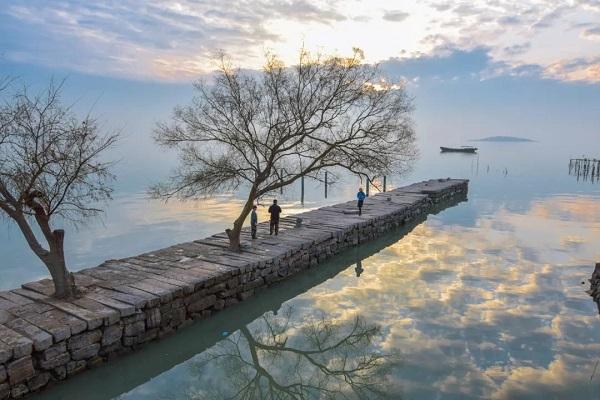 苏州的这个宝藏小岛太适合夏天了