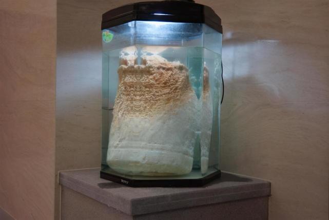 从科学角度来说,太岁究竟是什么?为何能够价值百万? - 知乎