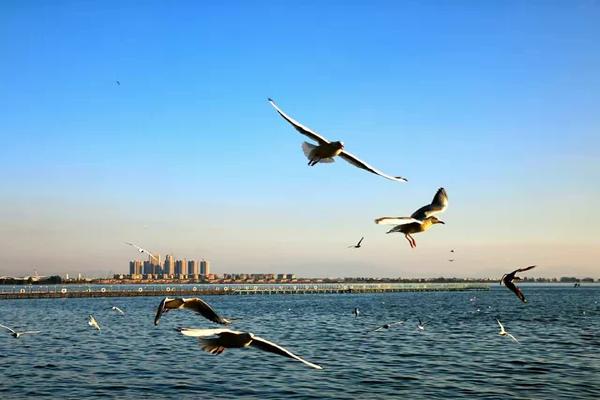 在昆明一个人一天去哪玩比较好?