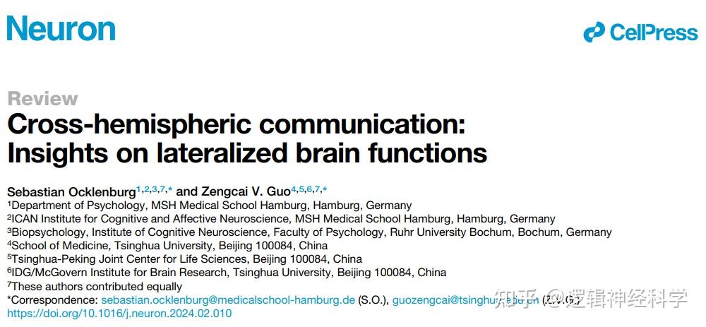 Neuron 综述︱清华大学郭增才受邀合作评述大脑左右半球间信息交流与脑功能偏侧化 - 知乎