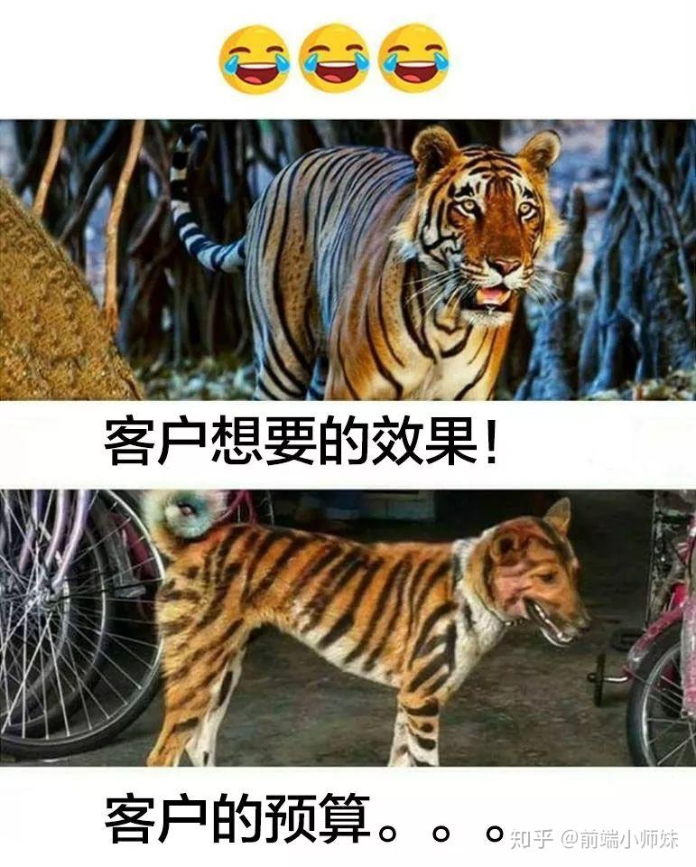 预算和要求的搞笑图图片