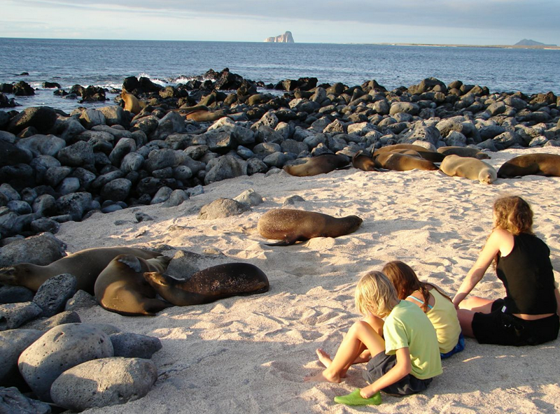 中国大陆公民去哪些国家旅游免签?