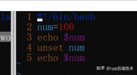 shell脚本语言(超全超详细) - 知乎