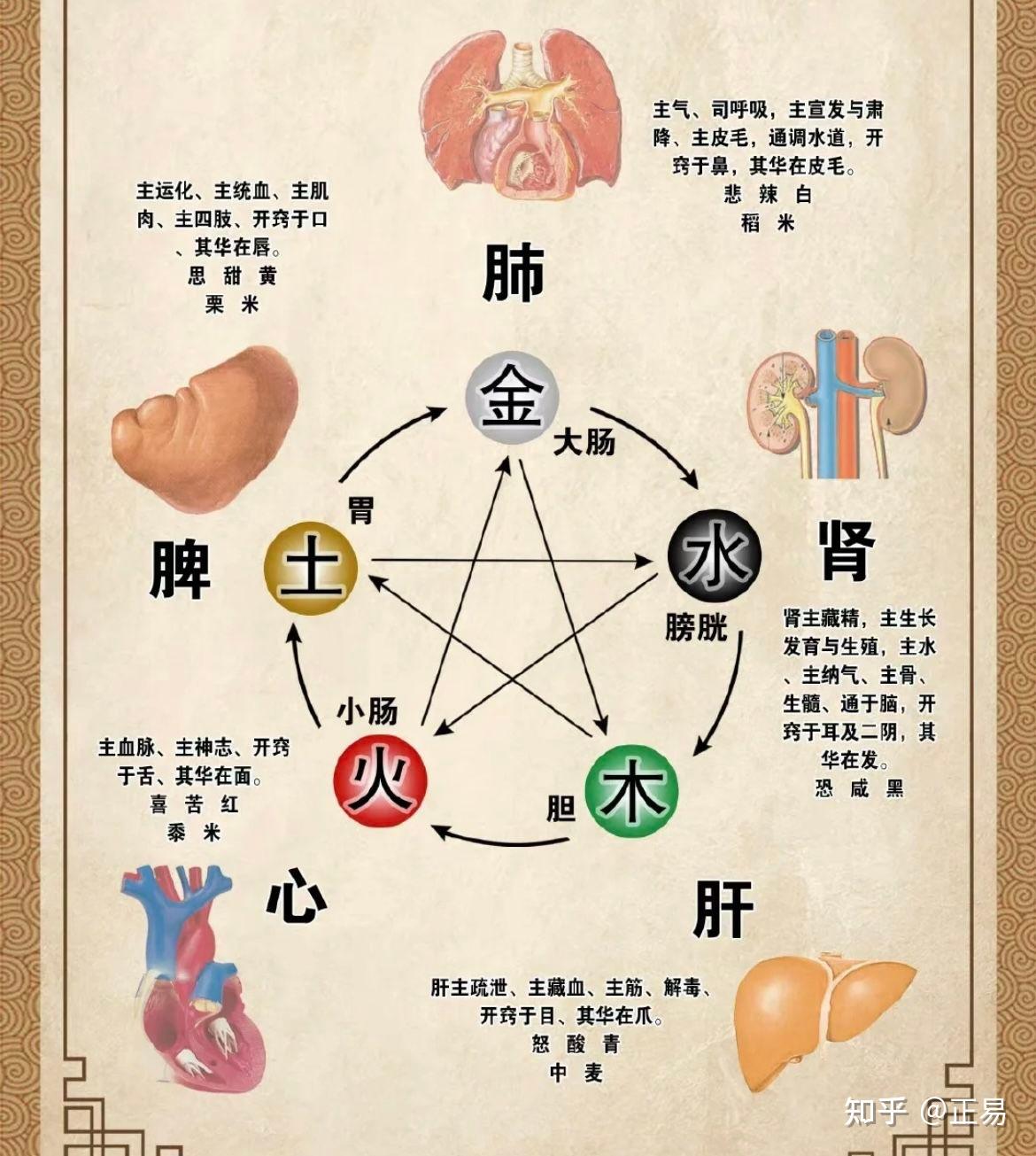 你了解五行吗给大家分享五行健康指南指点