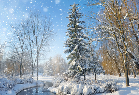 今天我們來說說怎麼拍好雪景