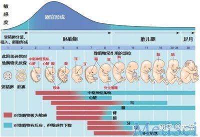 人体的衰老机理是什么?为什么人不能永生? - 知乎