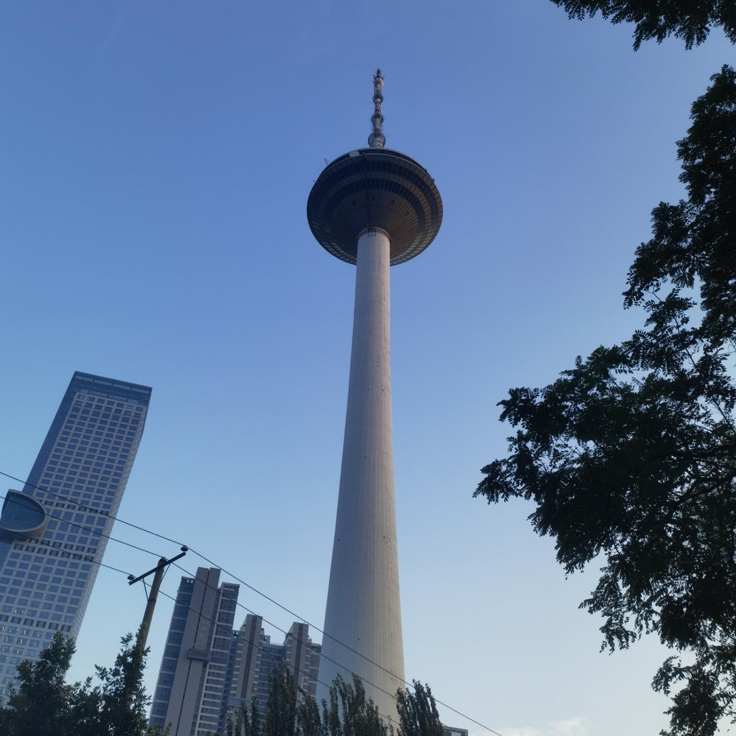 长得像土豆一样的