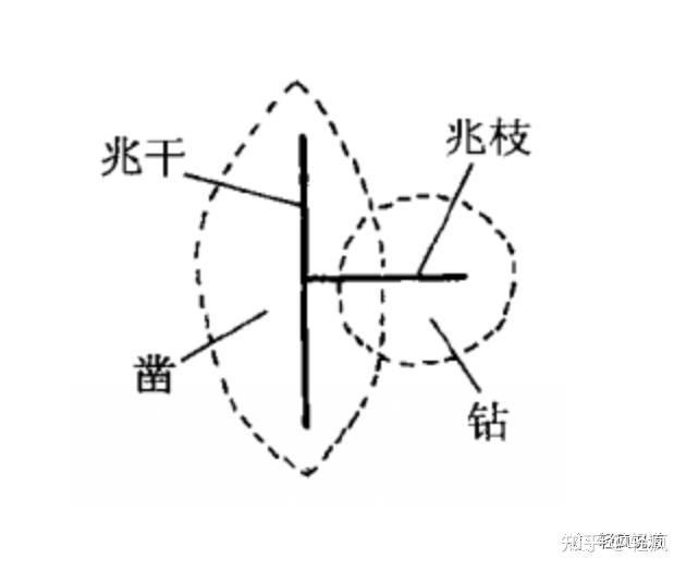 最古老的预测方式——龟卜 - 知乎