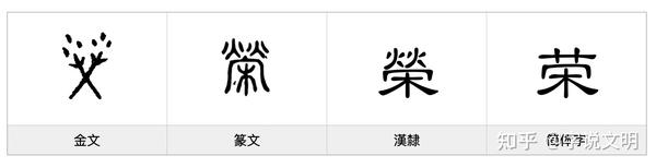 荣——每日一字·木部字 - 知乎