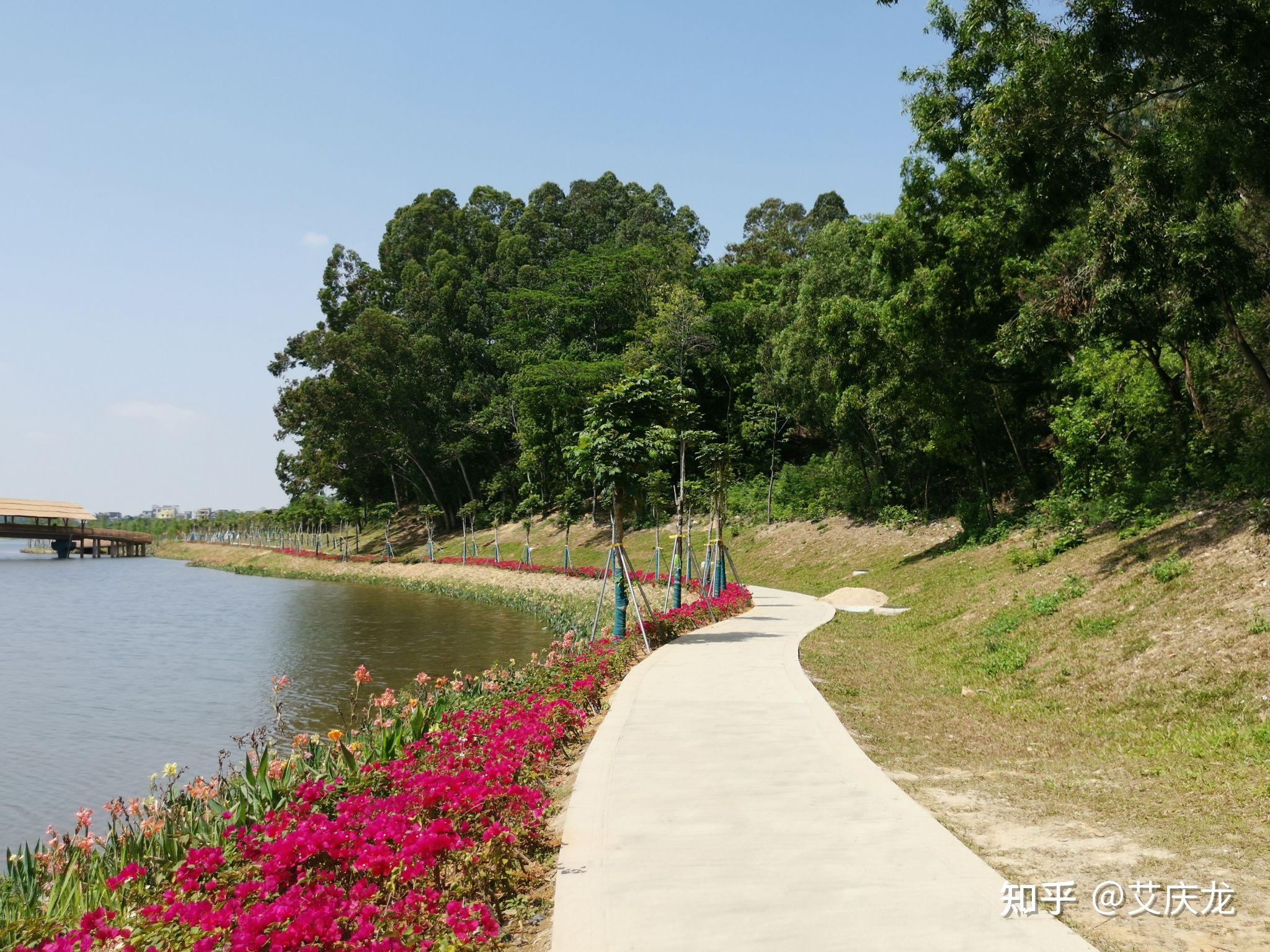 东清湖湿地公园图片图片