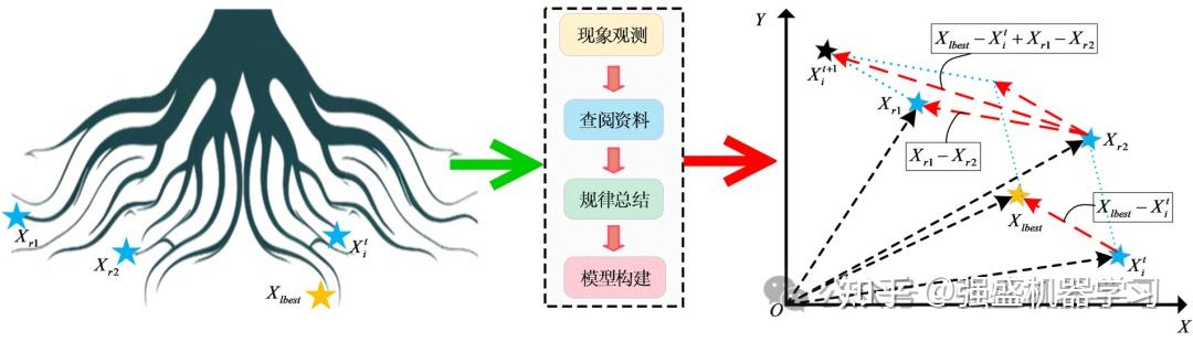 植物根茎生长优化算法(PRGO)-2025年新算法-公式原理详解与性能测评 附完整Matlab代码 - 知乎