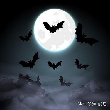 黑夜 - 知乎