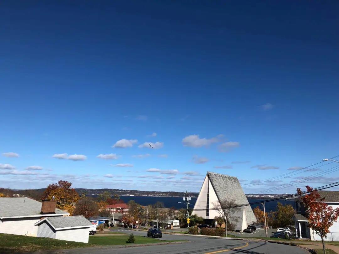 加拿大新斯科舍省除了aipp还能有更多选项