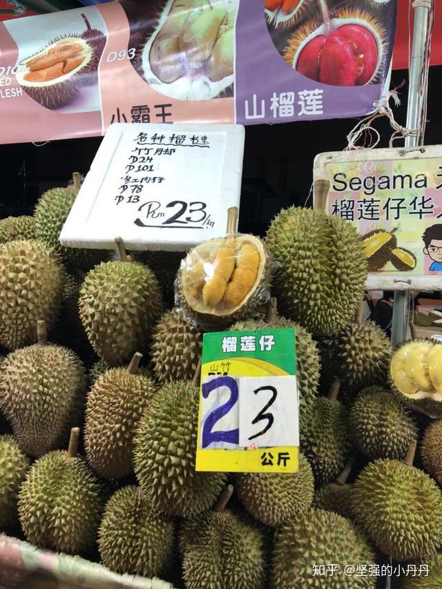 Malaysia Traviling 马来西亚沙巴自助游攻略