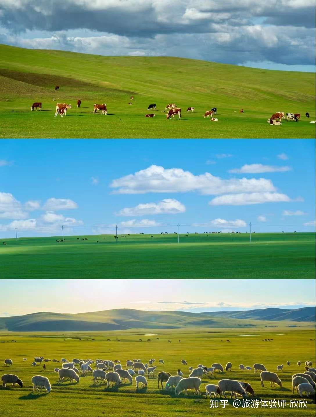 给大家整理了一份内蒙古大草原保姆级攻略,亲身经历总结,涵盖吃住行