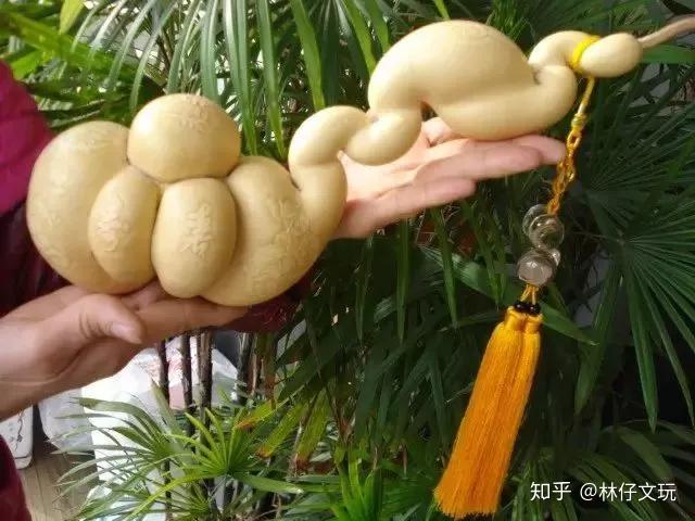 什么时间种葫芦种子 v2-8d27a0e364b071725a43252f8328bc96_r.jpg