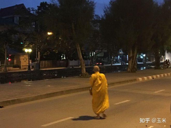 清晨,泰国僧人古老的日常仪式——化缘 - 知乎