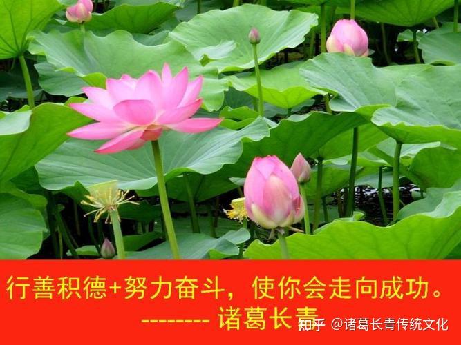 诸葛长青:行善积德必有好命运,一个真实的故事案例 - 知乎