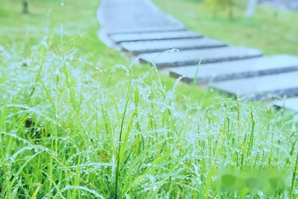 风雨后的雨露阳光图片图片