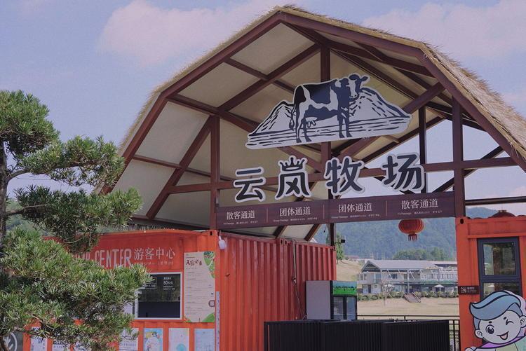 云岚牧场区域上也是泰顺的东大门,高山牧场,一鸣奶源地,大风车,可爱小