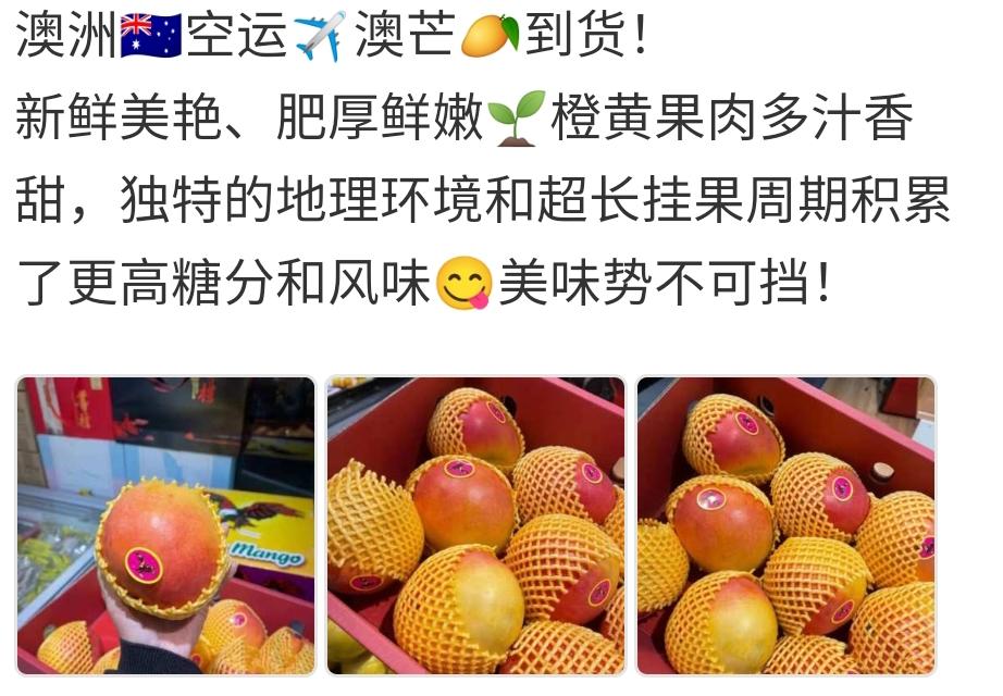 水果澳芒文案,水果澳芒文案示例